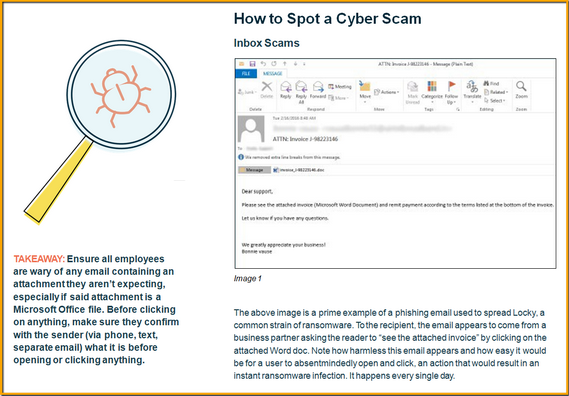 cyber_scammed